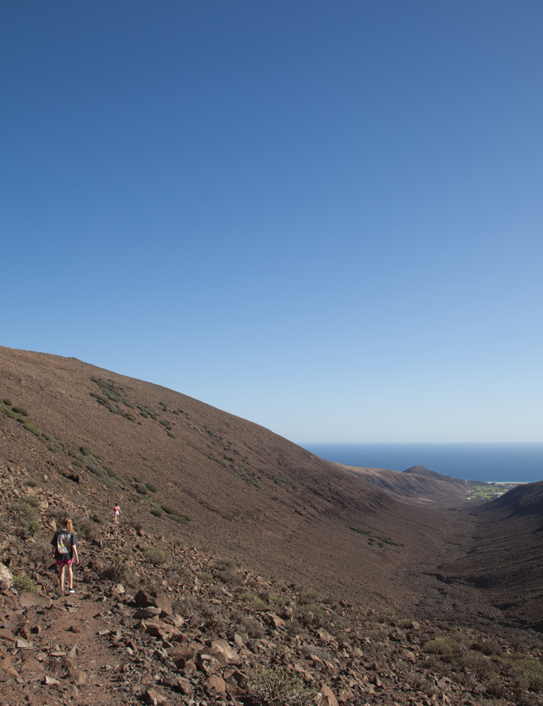 Fuerteventura Canary Islands 